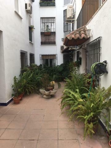 El Rincon De La Juderia Córdoba